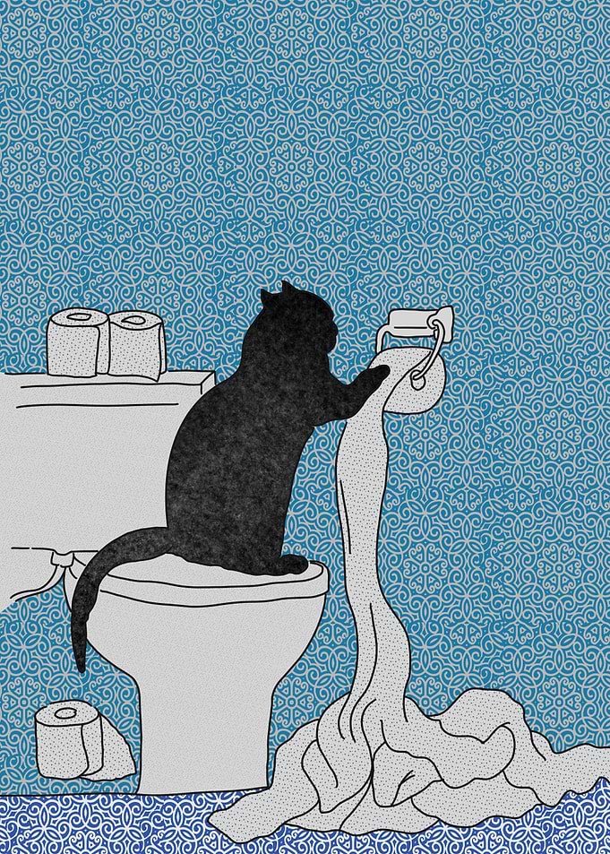 Funny Cat Toilet Paper Mishap