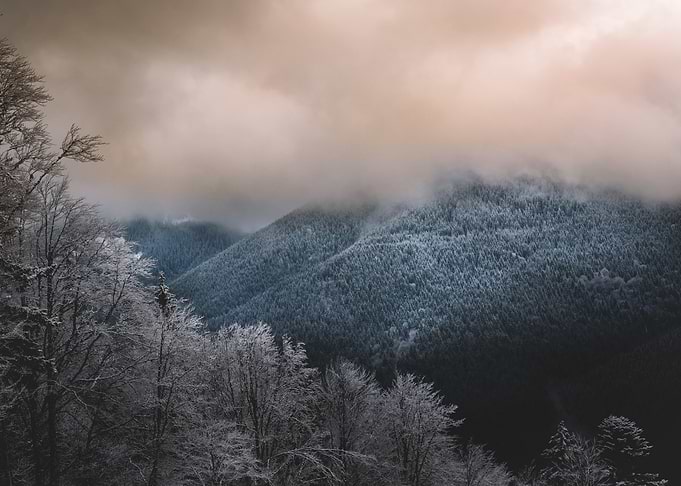Misty Mountain Landscape