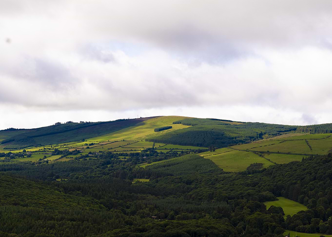 Rolling Green Hills