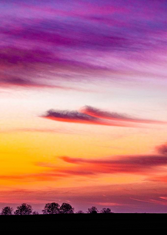 Poem To The Wind