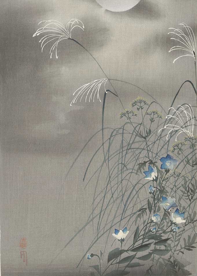 Moonlit Flowers