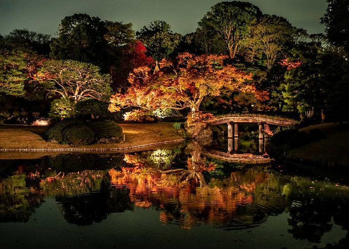 Japanese Garden Night