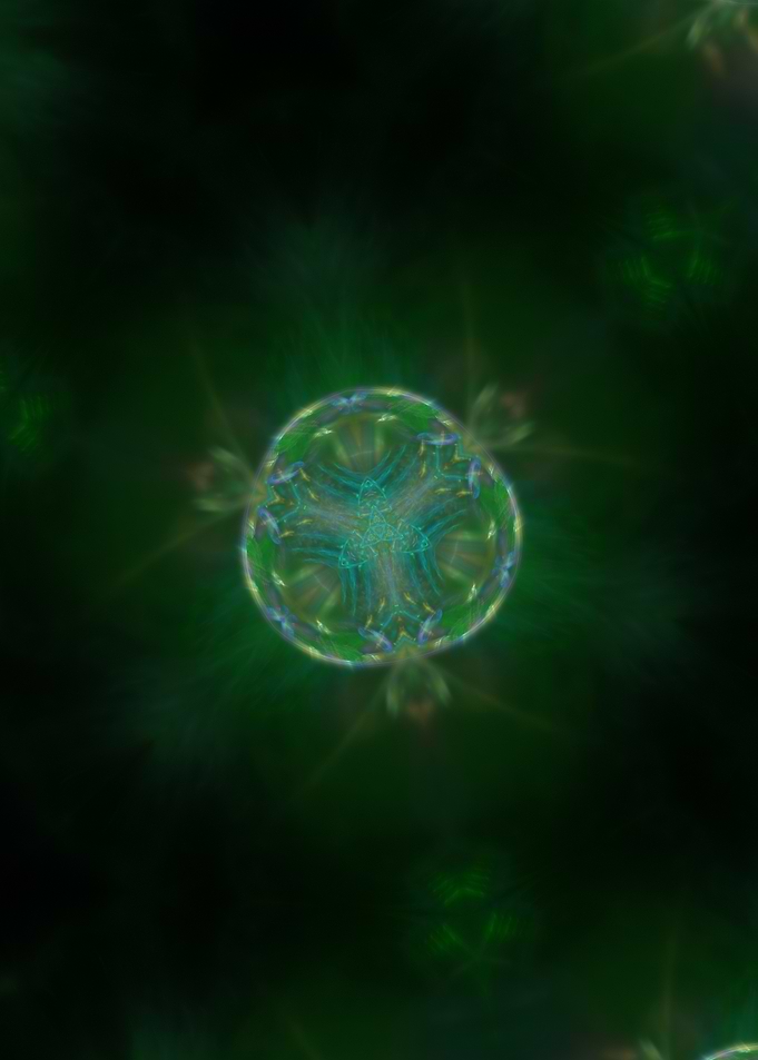 Plant Cell Division