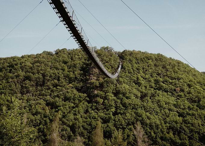 Bridge Over Forest