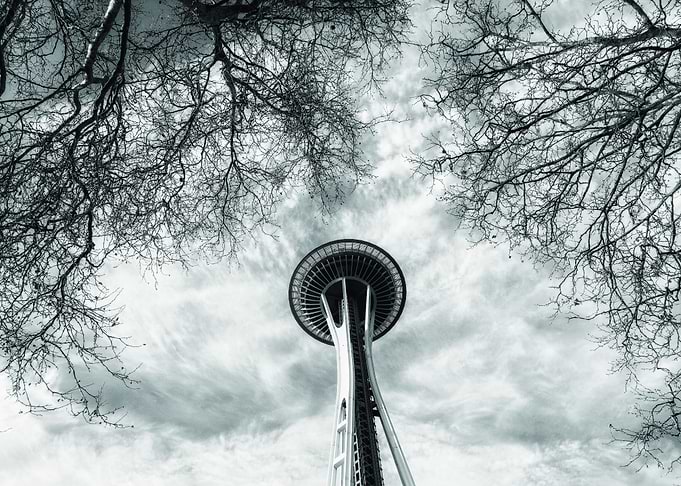 Space Needle Through Trees