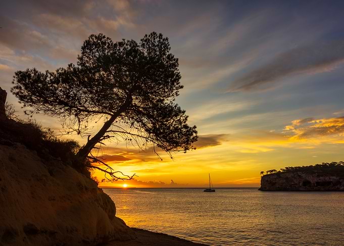Sunset Seascape with Sailboat
