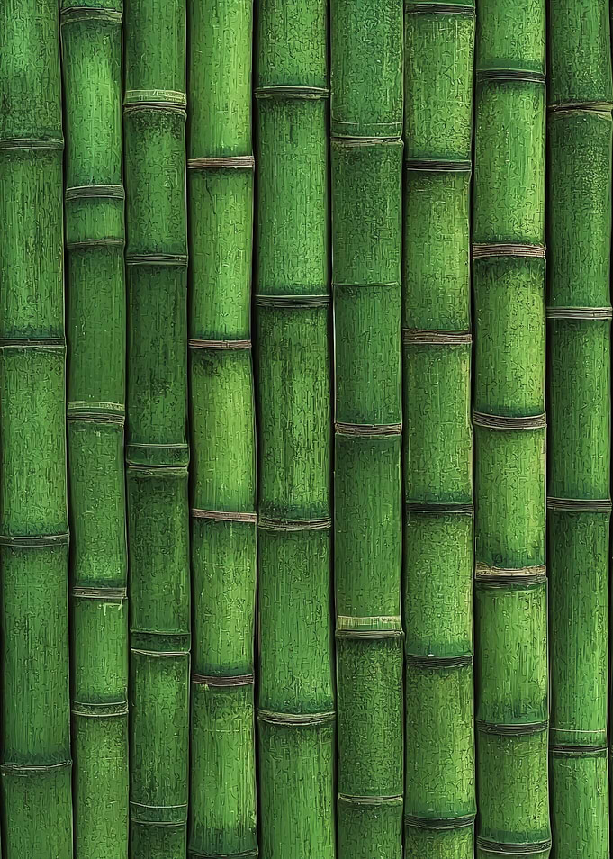 Green Bamboo Wall
