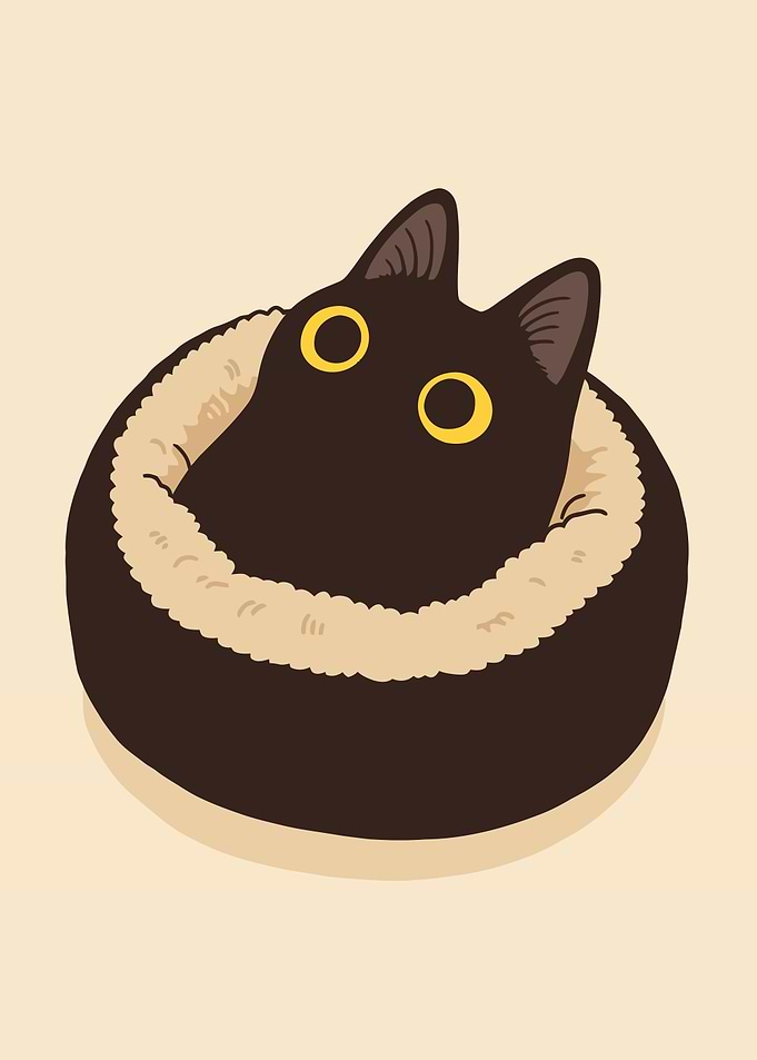 Black Cat in Bed