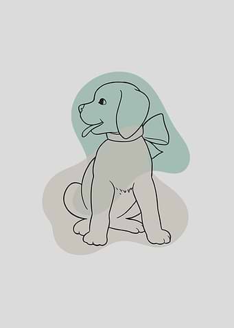 Cute Puppy with Bow