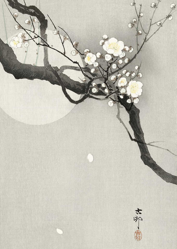 Japanese Plum Blossom Painting