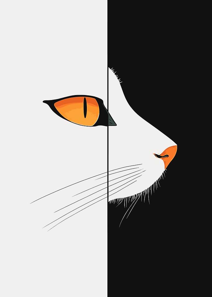 Cat Eye Minimalist Art