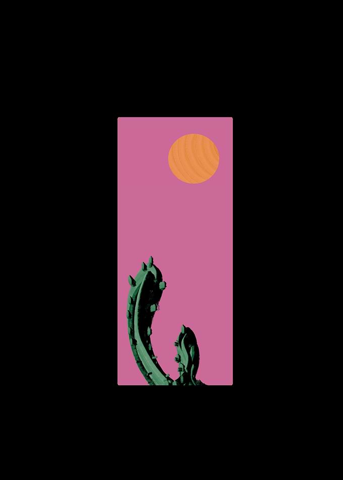 Cactus and Sun