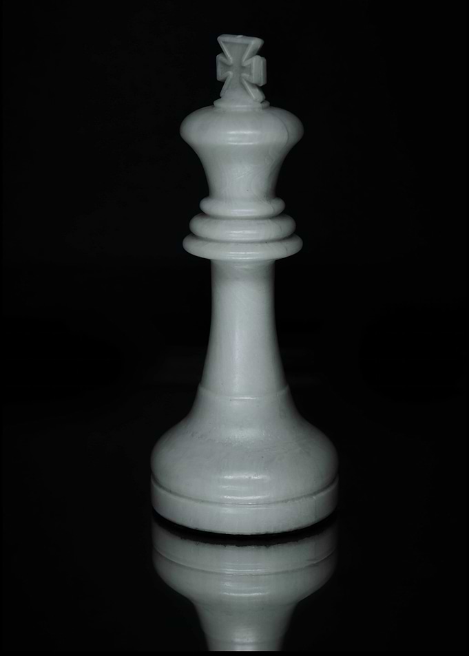Professional Chess Player Artwork Of Chess King