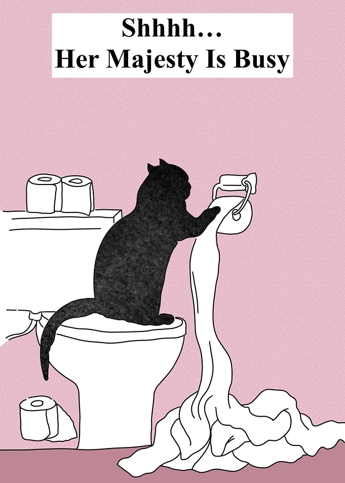 funny Cat Toilet Paper