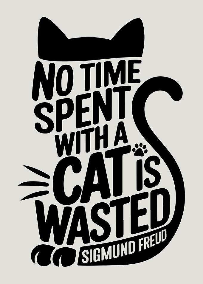 Cat Quote Graphic