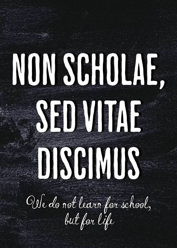 Seneca Latin Quote