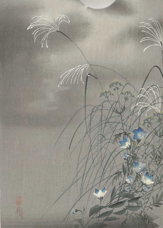Moonlit Flowers and Grass