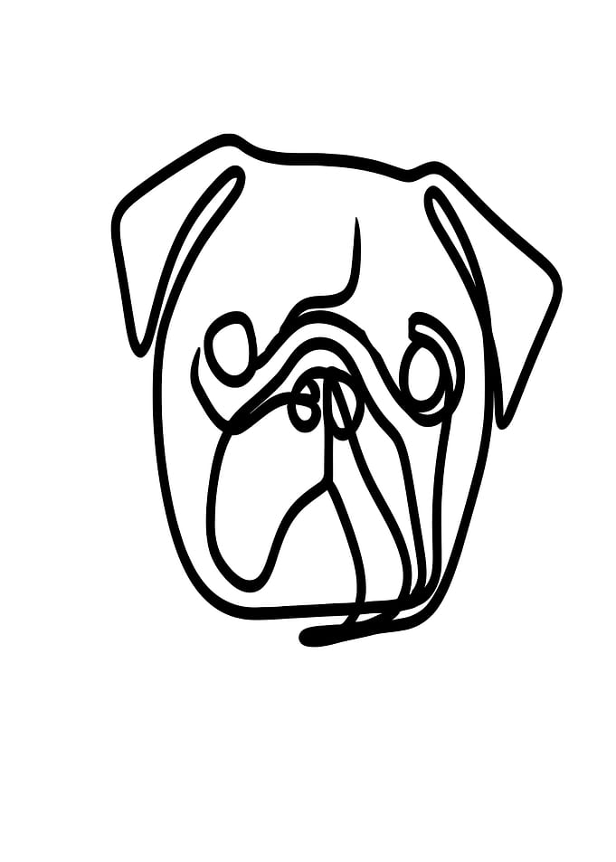Pug Line Art
