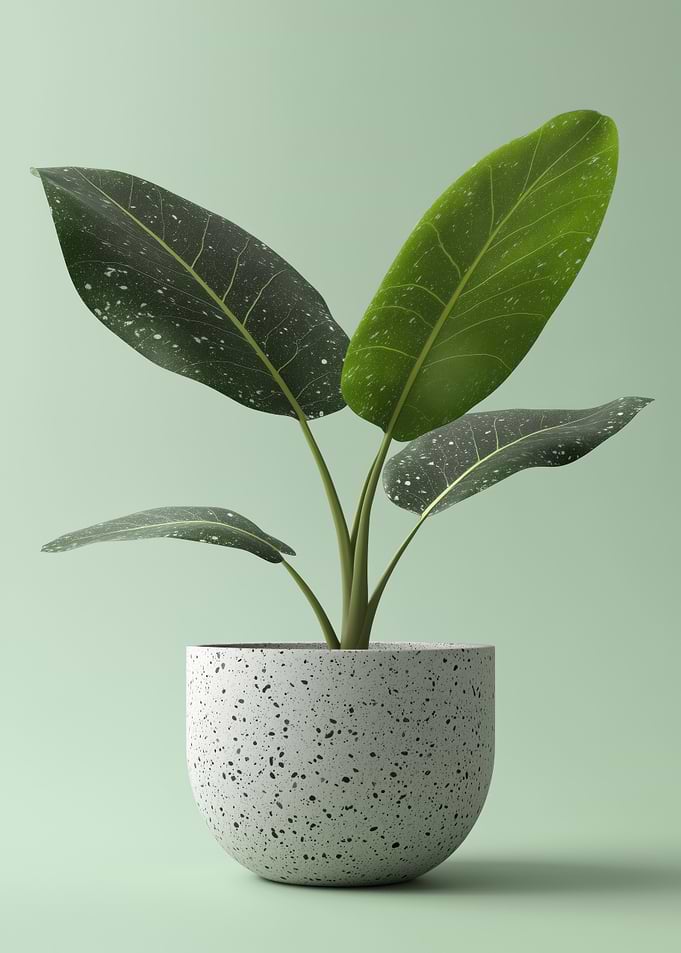 Plant Constellation