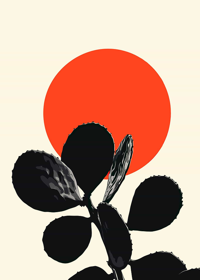 Cactus and Sun