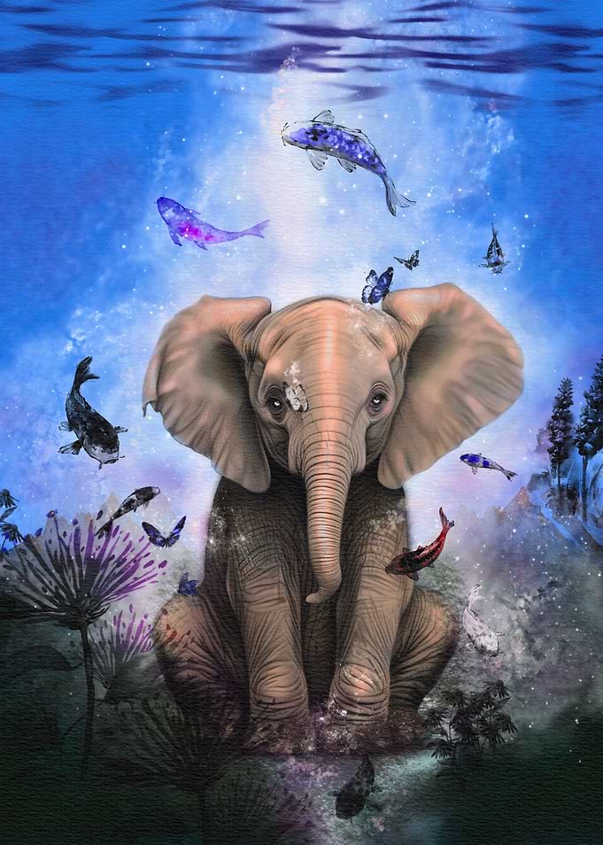 Wisdom - Elephant Art