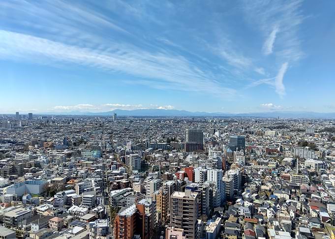 Tokyo Cityscape
