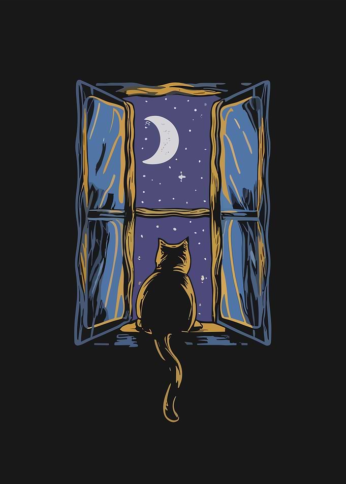 Cat Gazing at Night Sky