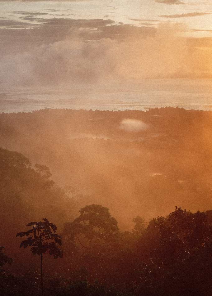 Misty Sunset Landscape