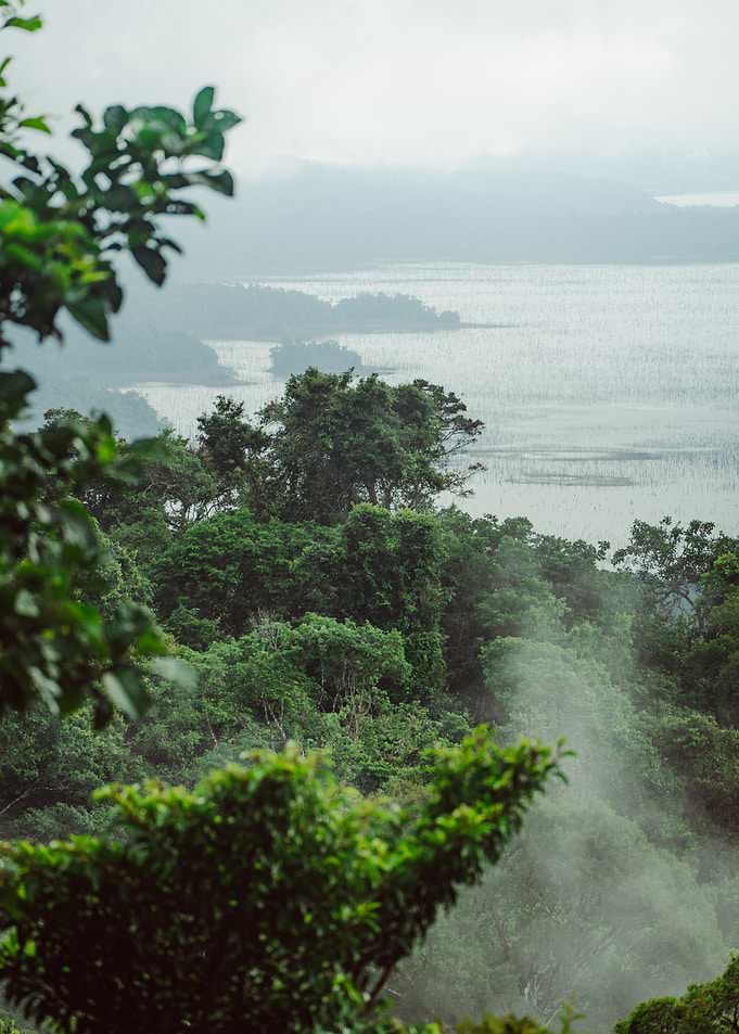 Misty Lake View