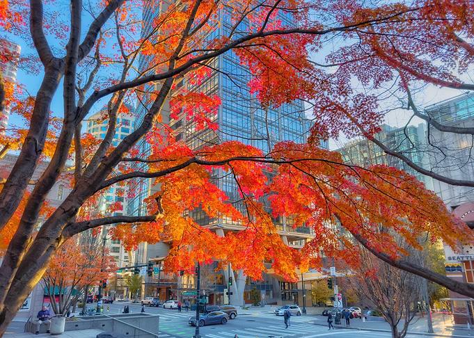 Autumn in Seattle