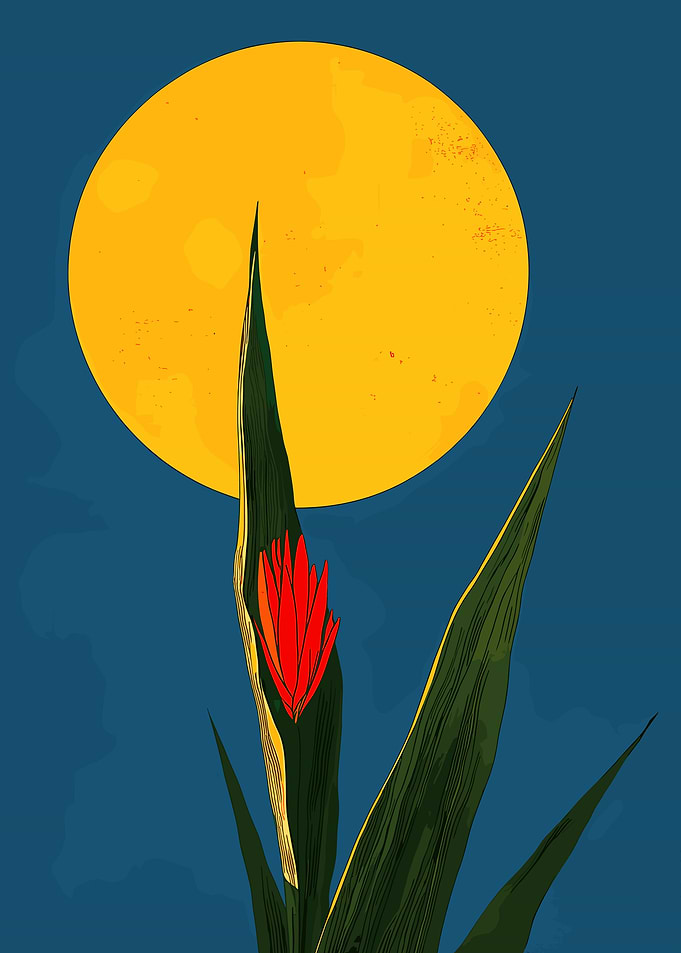 Red Flower and Moon