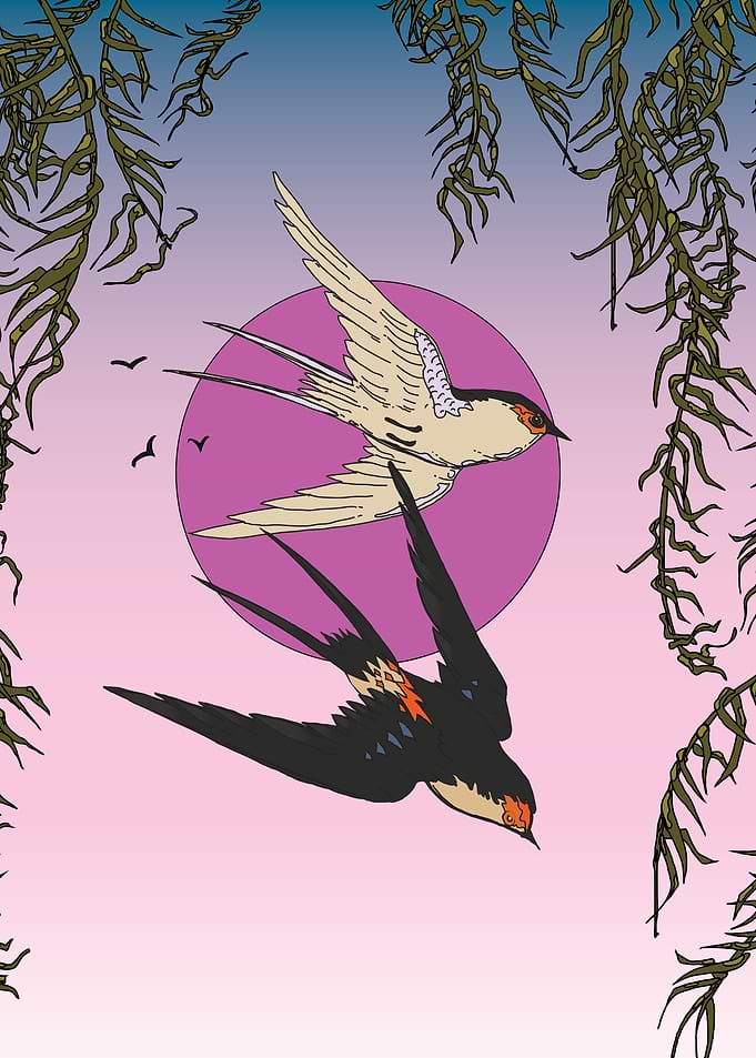Swallow Flight