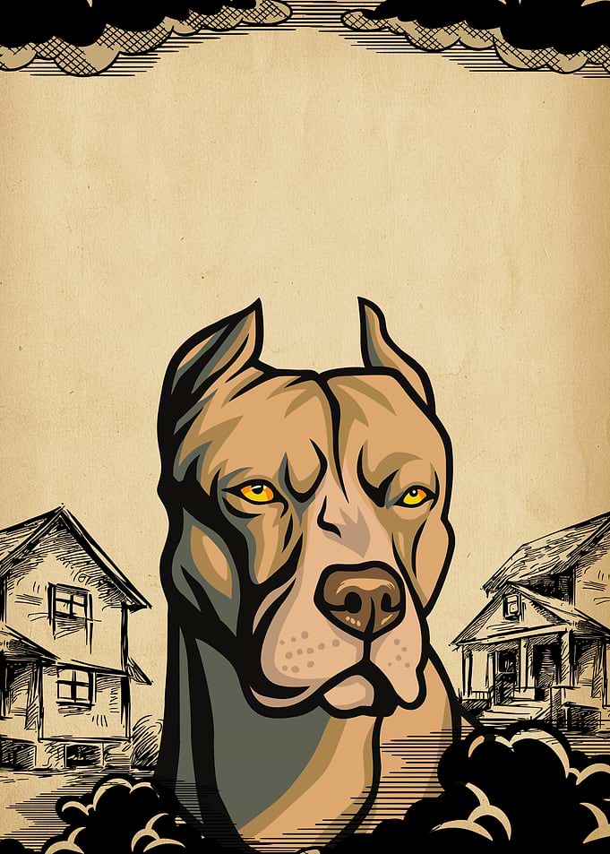 Pitbull Portrait
