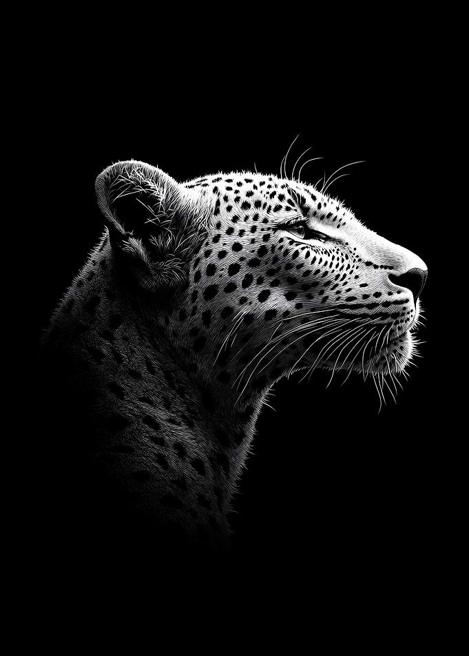 Animal White Leopard Art