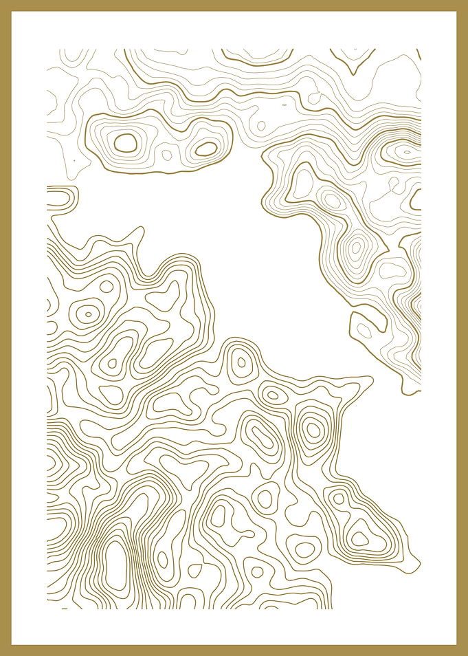 Topographic Line Art