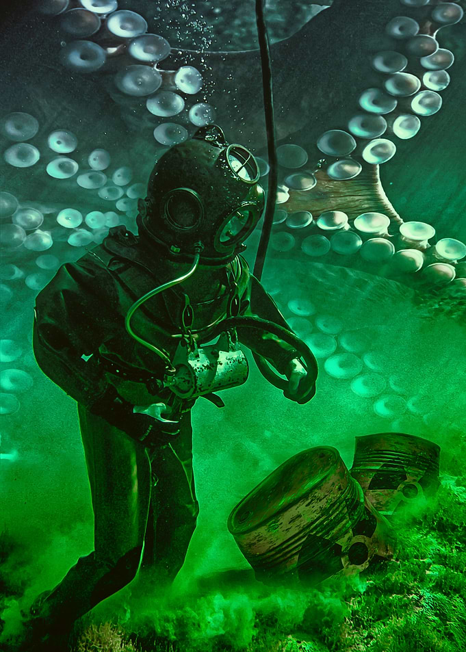 Diver and Octopus