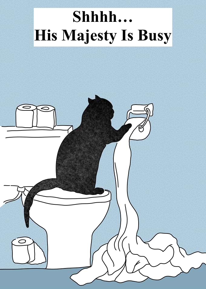 funny Cat Toilet Trouble