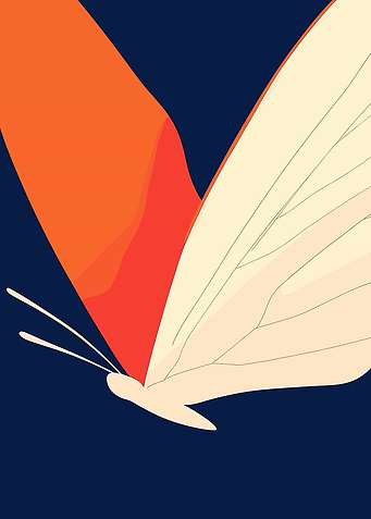 Abstract Butterfly