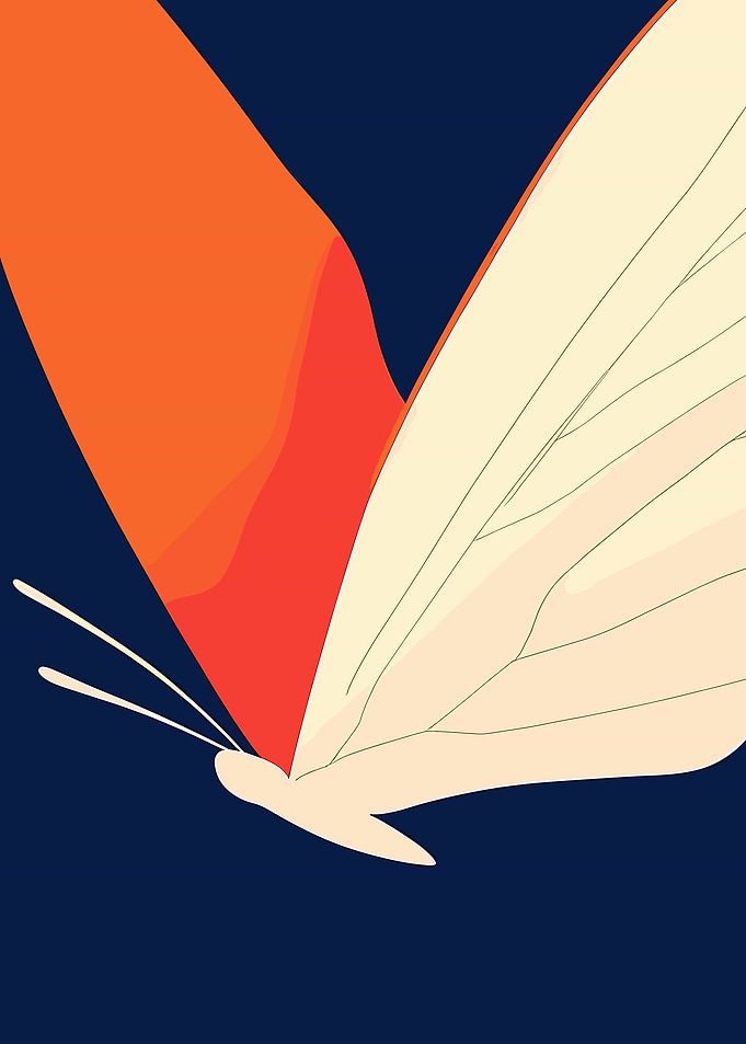 Abstract Butterfly