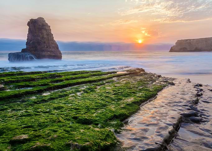 Sunset Coastline with Seaweed