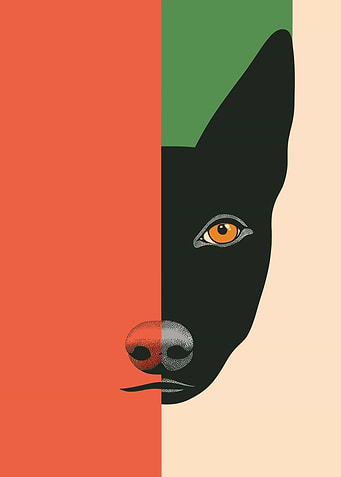 Dog Portrait in Color Blocks
