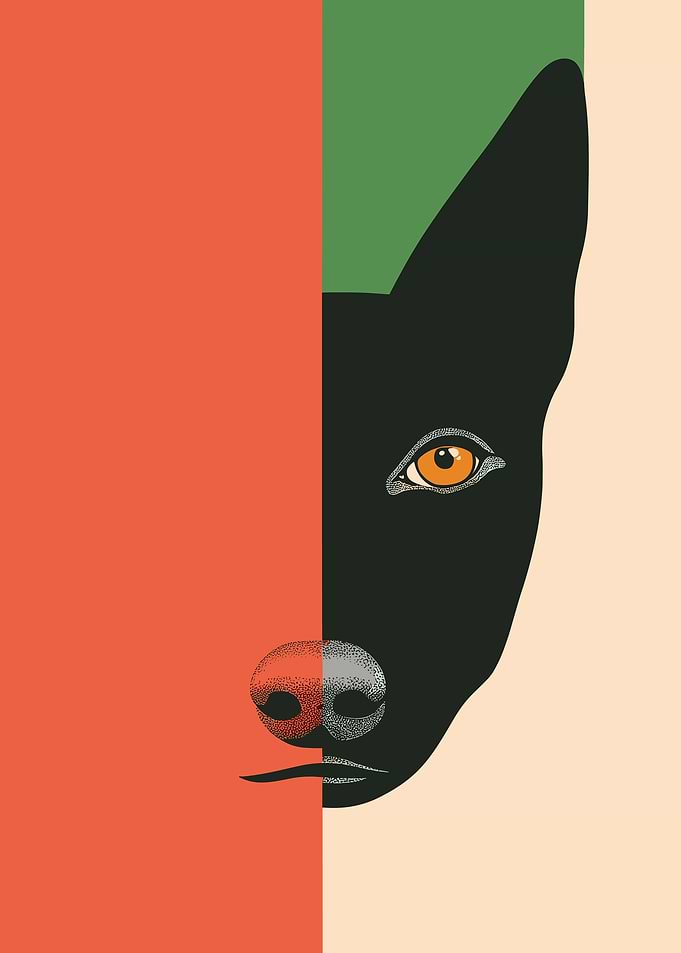 Dog Portrait in Color Blocks