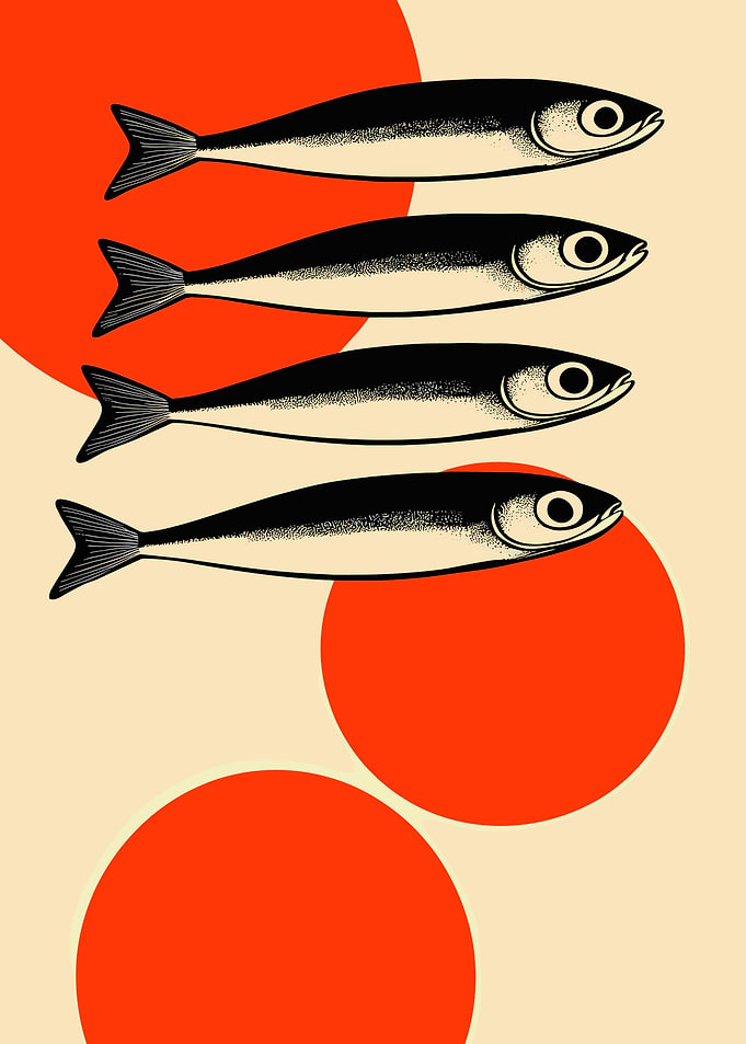 Fish and Circles