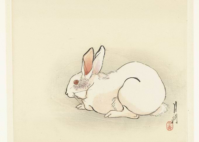 Japanese White Rabbit Illustration