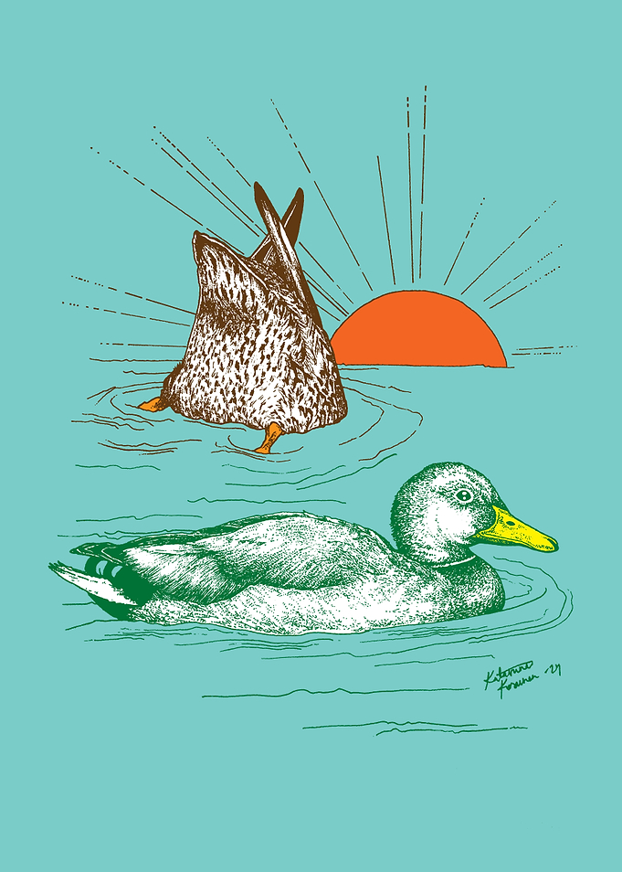 THE MALLARDS