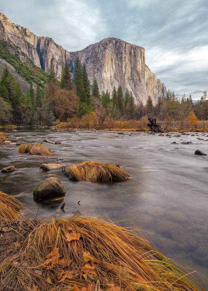 Yosemite Merced River & El Capitan