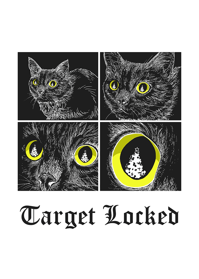 TARGET LOCKED