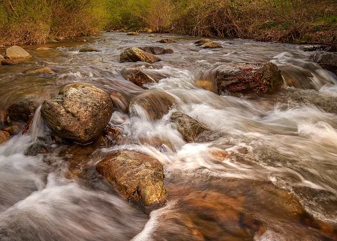 Rushing River Stream