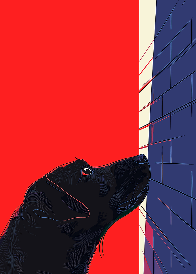 Black Dog by Brick Wall