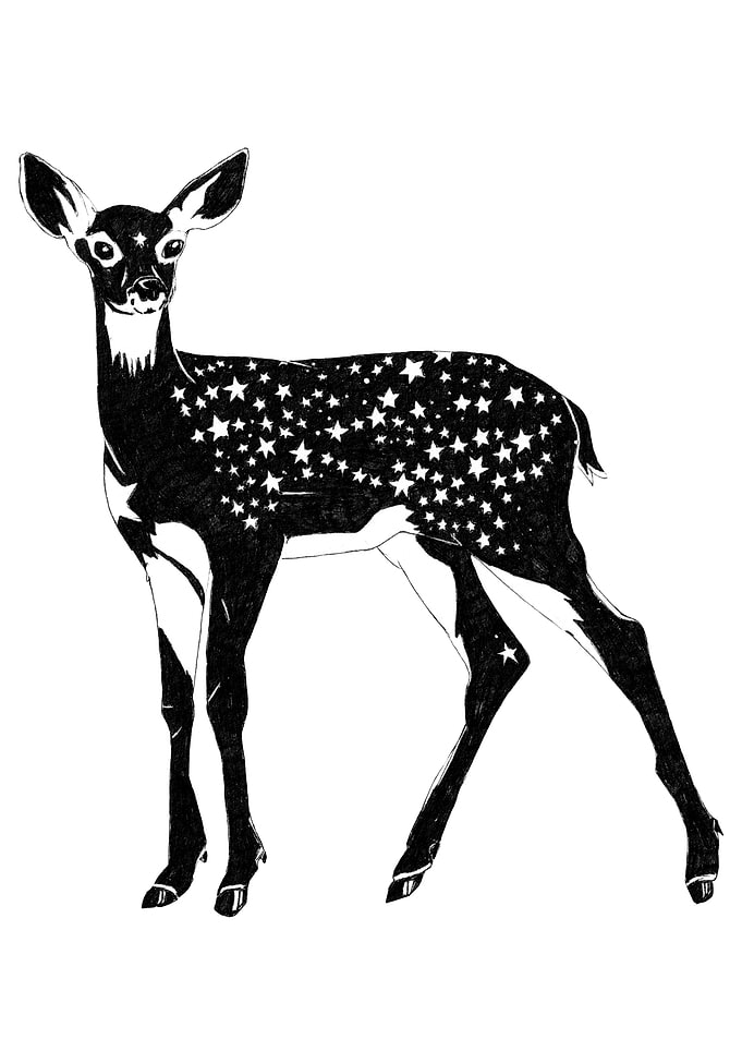 Cosmic Star Deer